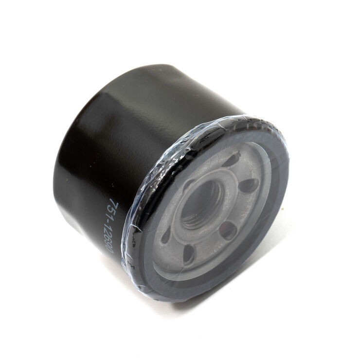 Cub Cadet XT1 XT2 Engine Oil Filter | OEM 490-201-C003